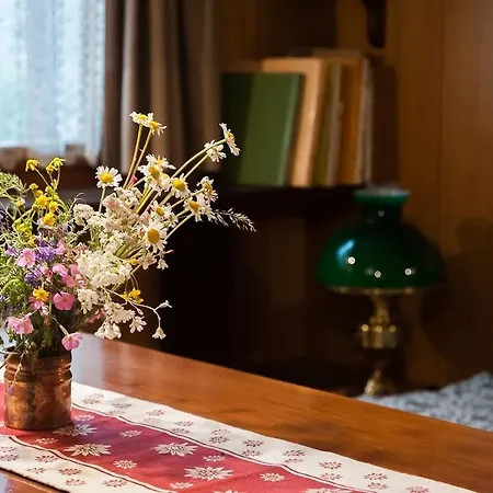 Trilocale Alpino Giomein Parcheggio Privato Davanti Alle Piste Appartement *